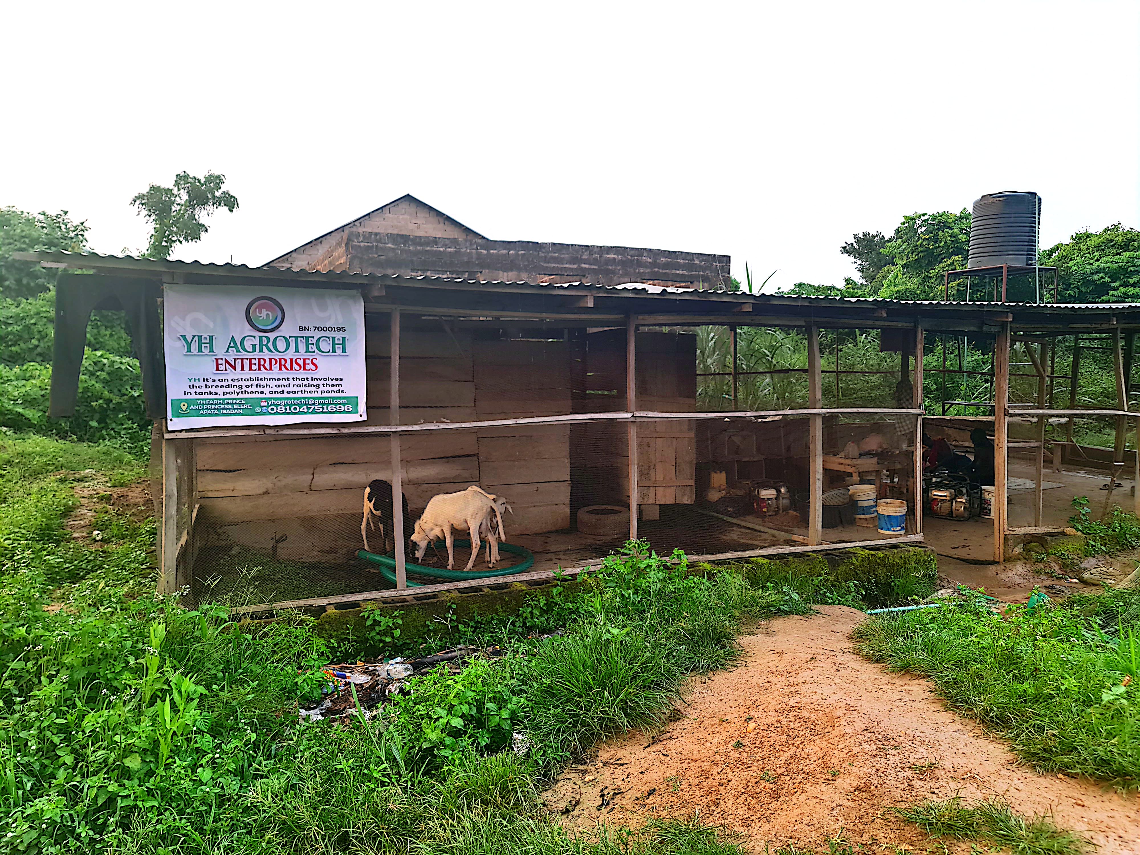 Farm Shed