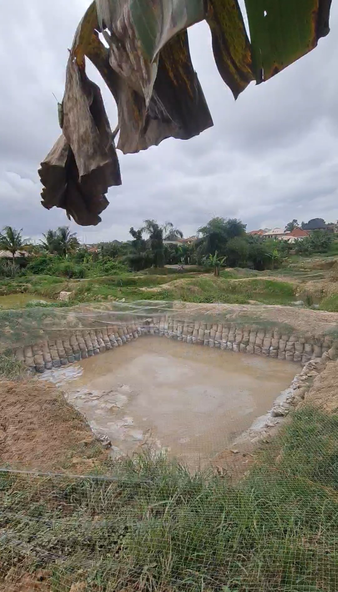 Fish Pond Earthen